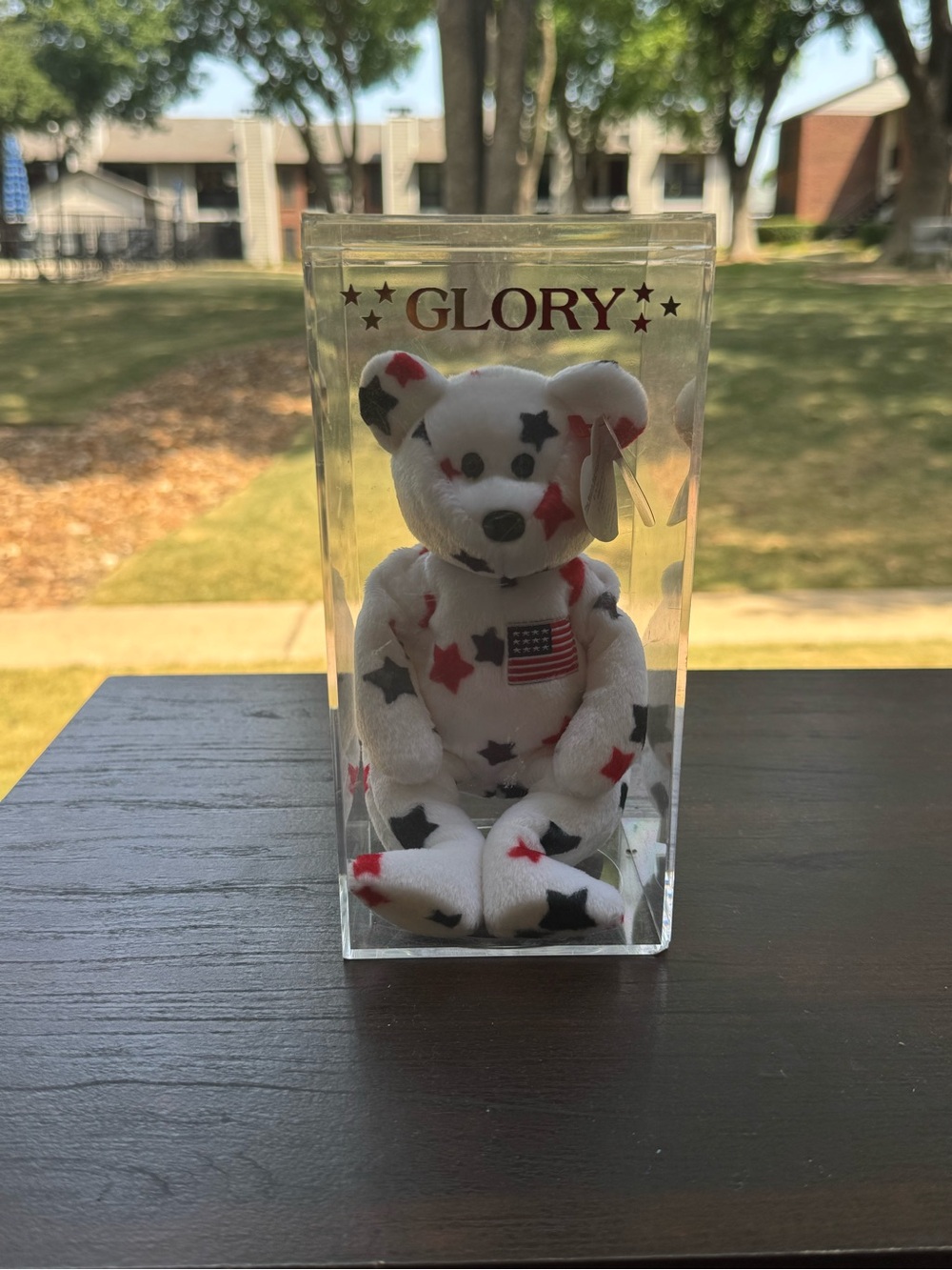Vintage TY Beanie Baby Glory the Bear 1997 – Original Tag + Display Case